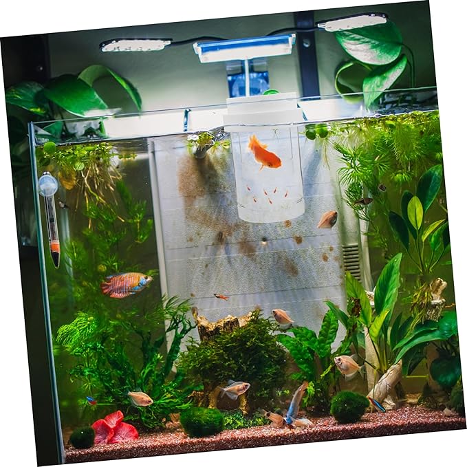 UPKOCH 1 Set Fish Breeding Box: Floating Fish Isolation Box for Aquarium - Breeding and Hatching Incubator for Clownfish Guppy Betta Shrimp