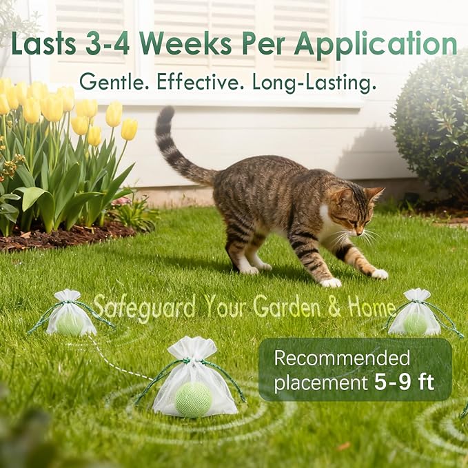 Cat Deterrent Outdoor Indoor, 10 Pack Peppermint & Lemon Natural Cat Deterrent Balls, Keep Cats Out of Yard Permanently, Prevent Scratching & Chewing for Garden, Lawn & Indoor Furniture