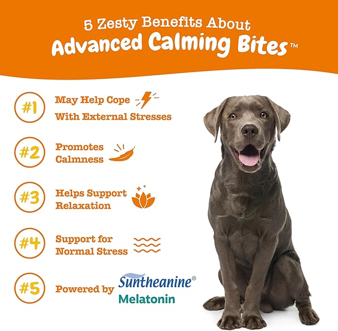 Zesty Paws Calming Chews for Dogs - for Everyday Stress, Relaxation, Composure, and Separation Bacon 90 Count