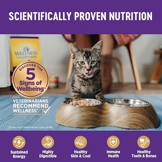 Wellness Complete Health Pate Adult Wet Cat Food, Natural, Protein-Rich, Grain Free, 5.5 Ounce, 24 Pack, (Chicken & Lobster)