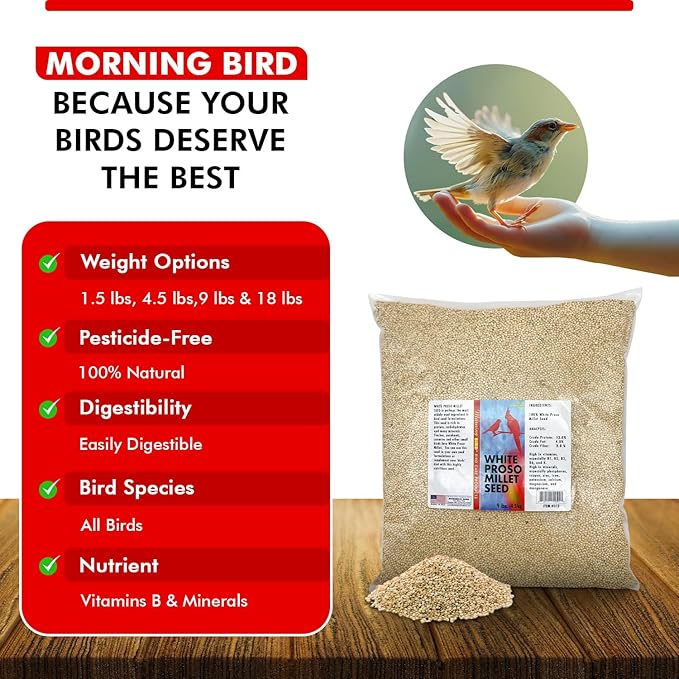 Morning Bird White Proso Millet 9 lbs – Natural Bird Seed – Supports Feather Growth & Balanced Nutrition – High Energy Delicious Seed - Ideal for Finches, Parakeets & Pet Birds