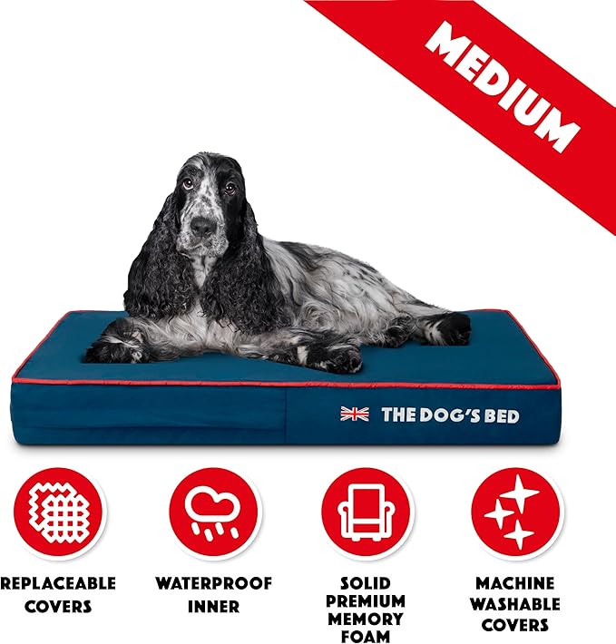 The Dog’s Bed Orthopedic Memory Foam Dog Bed Mattress, Oxford Fabric, Blue with Red Trim, Medium, 4-Inch