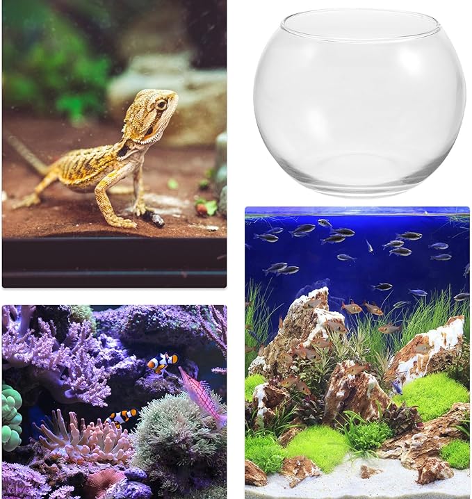 Glass Fish Bowl Aquarium Glass Goldfish Bowl 12-inch Diameter Home and Office Plant Cultivation