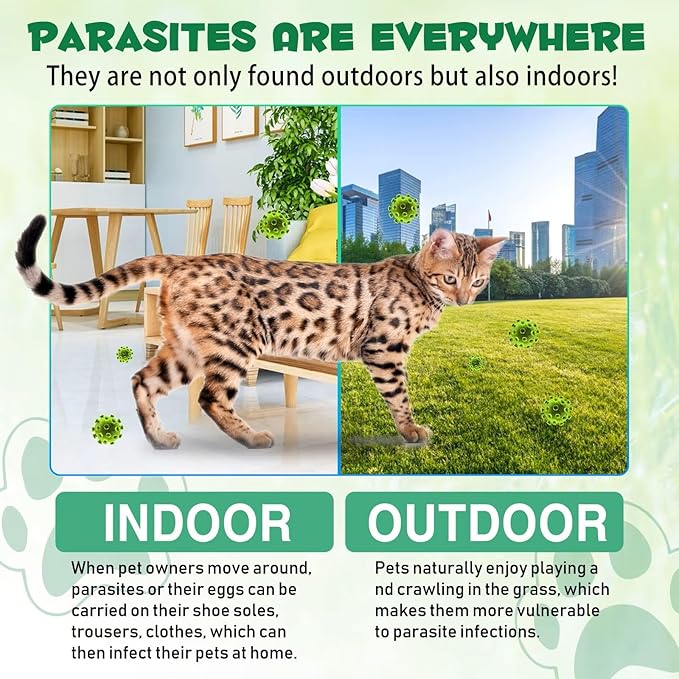 Natural Broad Spectrum Treatment, Herbal Cleanse, Digestive Support for All Cat Breeds, Gut Health, Supplement Drops Enhanced with Probiotics Specifically Formulated for Cats & Kittens