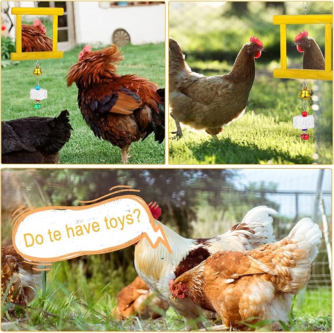 Chicken Toys - 1pc Hanging Bell Parrot Chicken Swing Mirror + 2pcs Beak Grinding Stones for Enrichment, Perfect for Coop, Birds, Parrots, Hens, Roosters, and More
