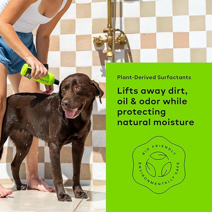 Nonaste Aloe Glow Premium Dog Shampoo (16 Oz, Pack of 1) – Deep-Clean & Odor-Neutralizing Dog Wash with USDA Certified Organic Aloe & Oatmeal | for Sensitive Skin, Soft Shiny Coat, Light Fresh Scent