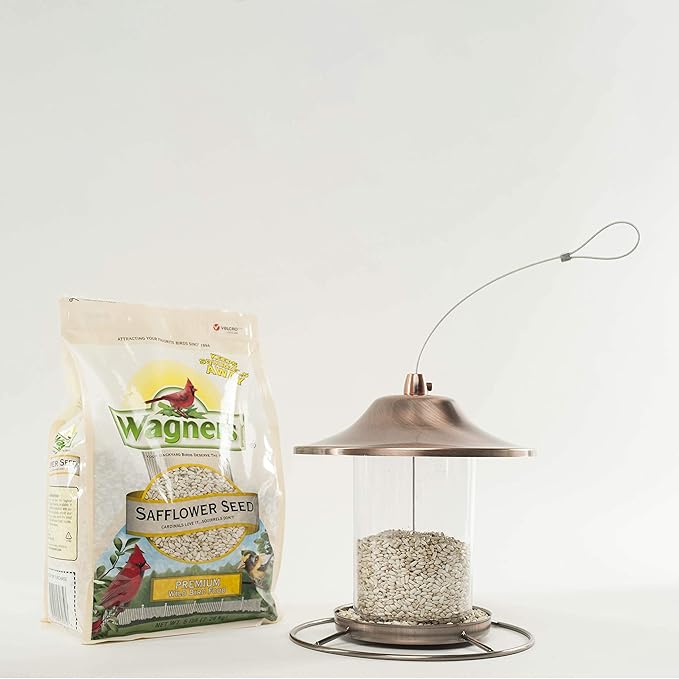 Wagner's 57075 Safflower Seed Wild Bird Food, 5-Pound Bag (Pack of 2)