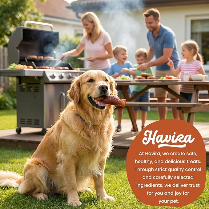Havira BBQ Dog Treats T-Bone Steak 12 Count, Grill-Shaped Rawhide Free Dog Chews Bone, Easily Digestible, for All Life Stages