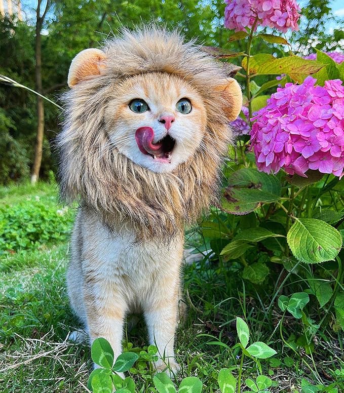 Lion Mane Wig for Cat,Dog and Cat Costume,Funny Pet Cat Costumes for Halloween Christmas, Parties, Photo Shoots (Size S, Melange Brown)