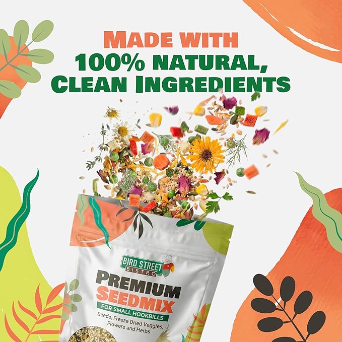 Bird Street Bistro Premium Bird Seed Mix – Natural Foraging Food for Parrots, Conures, African Greys & Cockatiels – Healthy Whole Grain Parrot Food, No Fillers or Additives – 11oz Bag