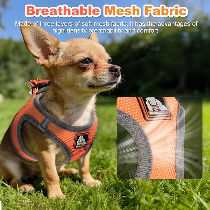 Dog Harness Medium Sized Dogs, Puppy Harness and Leash Set for Training, Running, Walking, Suitable for Small and Medium Dog Vest, Orange, L