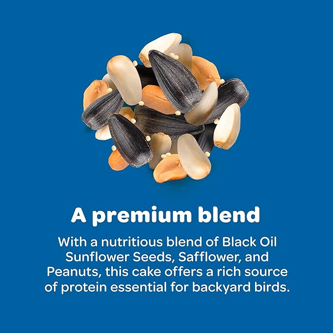 Kaytee Wild Bird Gourmet Seed Cake for Cardinals, Chickadees, Juncos, Titmice, Woodpeckers and More, 2 Pounds, 4 Count