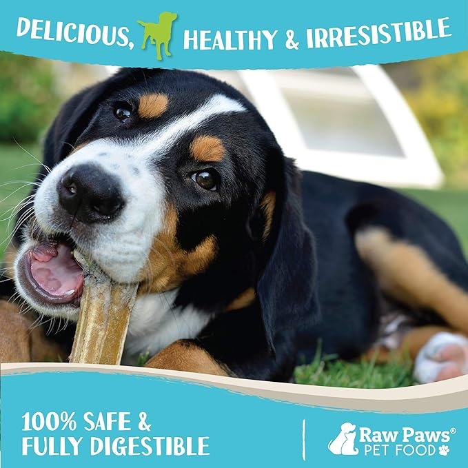 Raw Paws Compressed Rawhide Bones for Medium Dogs (10 Pack) - Natural Raw Hides Medium Dogs - Single Ingredient Dog Chews - Dog Bones for Aggressive Chewers