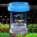 Breeder Box for Fish Tank, Plastic Aquarium Breeding Chamber, Floating Mesh Isolation Hatchery Incubator for Small Fish, Betta Shrimp Clownfish Guppy - Adjustable Nursery Tank Divider (Blue,Large)