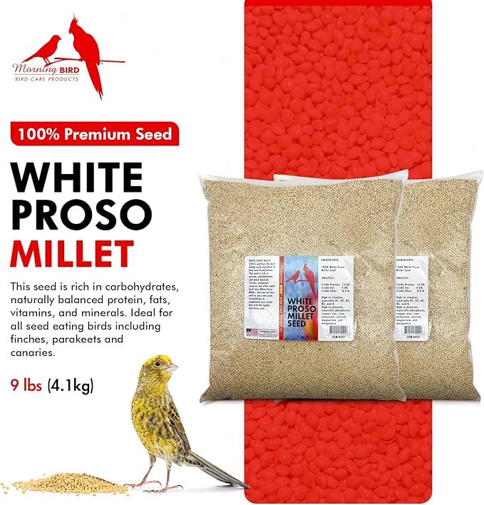 Morning Bird White Proso Millet 18 lbs (2-Pack, 9 lbs Each) Natural Bird Seed – Supports Feather Growth & Balanced Nutrition – High Energy Delicious Seed - Ideal for Finches, Parakeets & Pet Birds