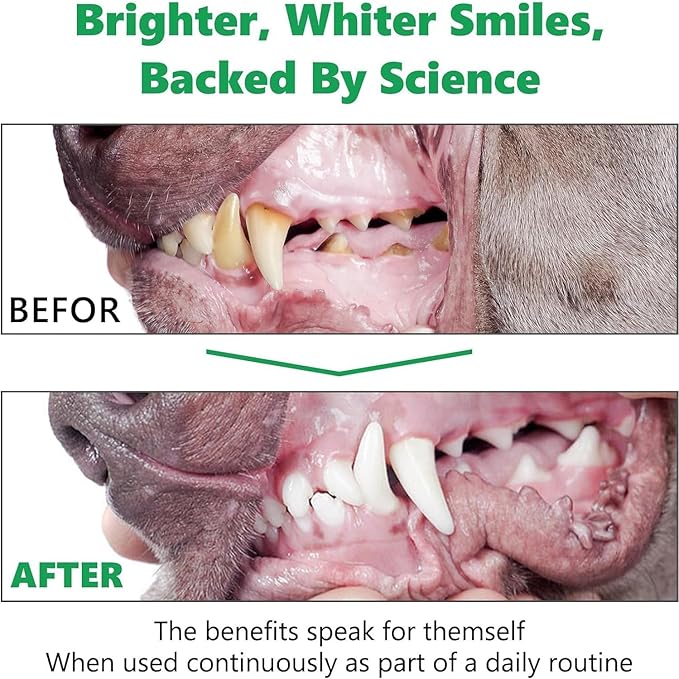 Dog Teeth Cleaning Powder 300g Package, Dog Dental Powder, Plaque Off for Dogs & Cats Breath Freshener for Bad Breath, Tartar Remover, Dental Care Supplies for Small, Medium, Pet Denta