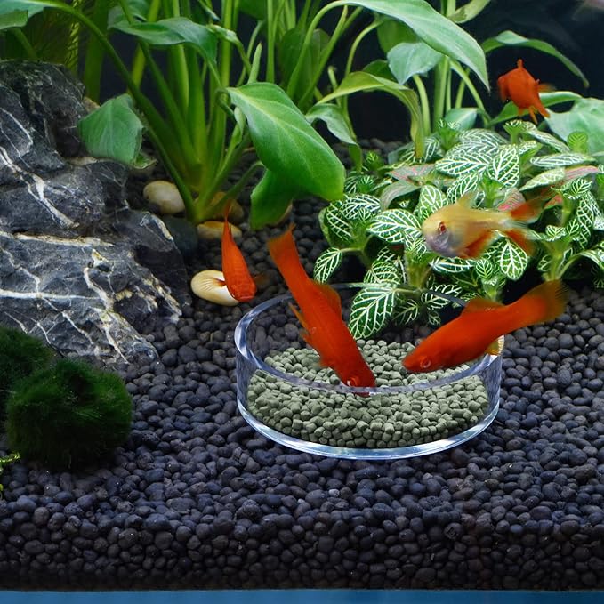 Aquarium Shrimp Feeder Dish Round Clear Fish Tank Feeding Dish Bowls (85mm)