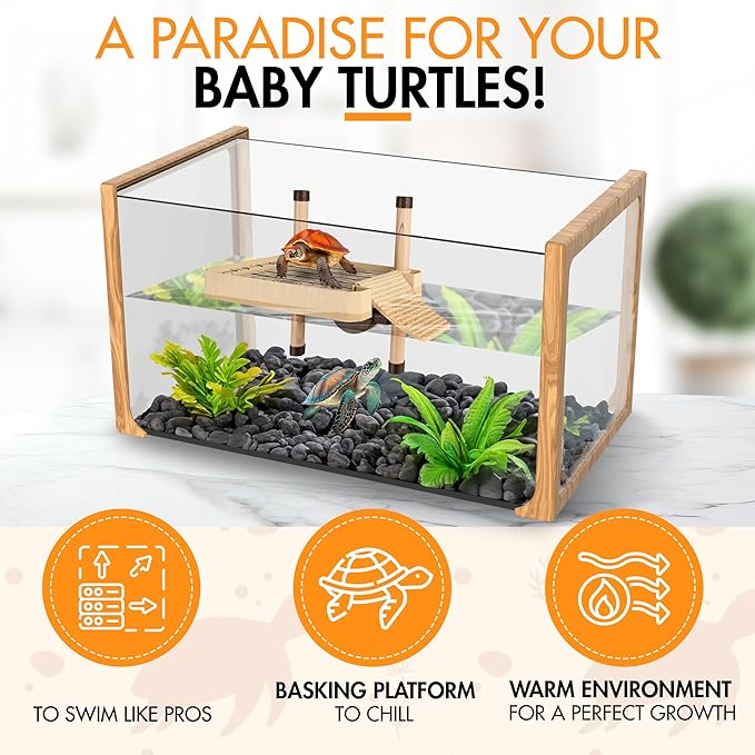 ZENO Turtle Aquarium Kit with Basking Platform - Aquatic Tank with Filter & Light - Perfect Starter Kit for Baby & Juvenile Turtles - Ideal for Kids