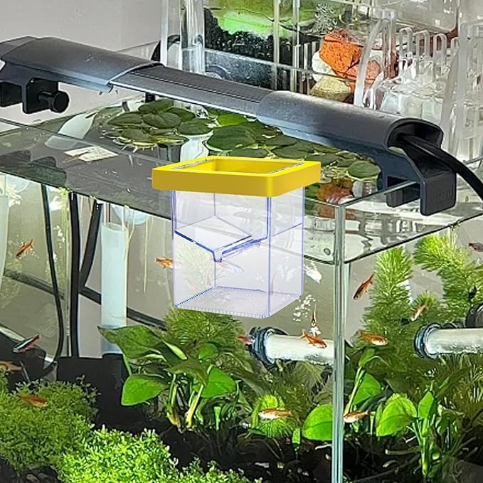 Fish Breeding Isolation Box Incubation Box Floating Separation Hatchery Fish Isolation Box for Baby Fish Guppy Fish Clownfish