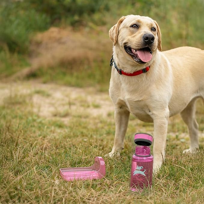 OllyDog OllyBottle | Tritan Dog Water Bottle with Detachable Bowl | BPA Free Leakproof Pet Dispenser | Hiking Travel (600ML, Hot Pink)