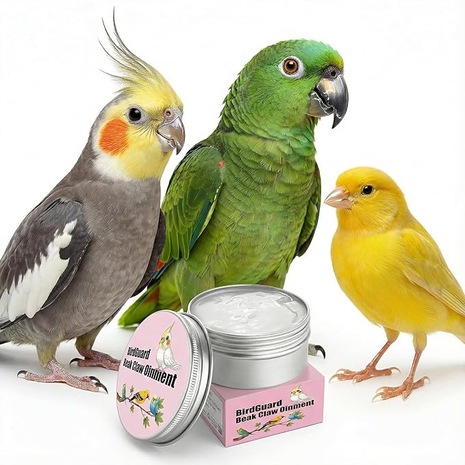 Bird Beak Oil & Feet Ointment for Parrots – Beak Moisturizer, Dry Skin Relief & Claw Repair for Budgies, Cockatiels & Small Birds (Big Size Edition)