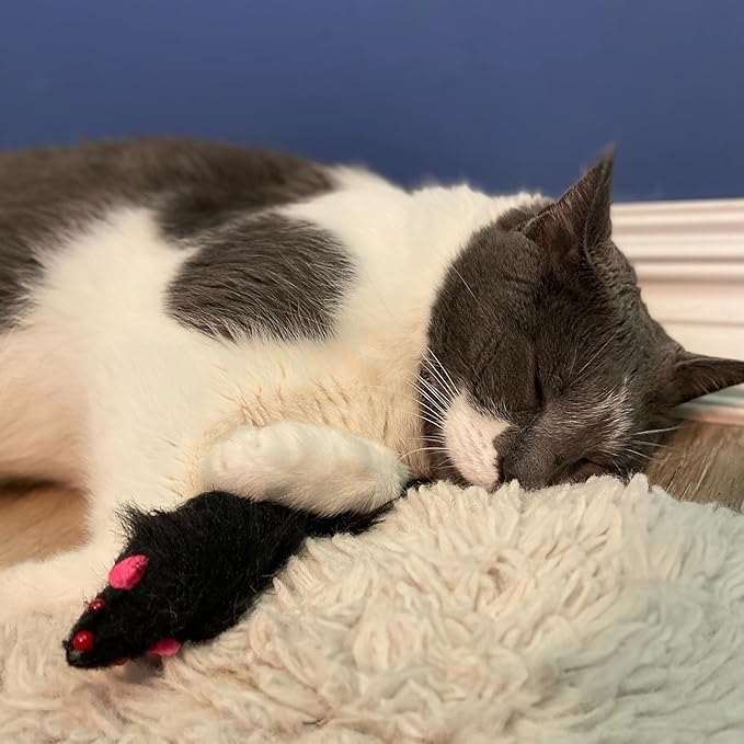 SPOT Shaggy Plush Ferret - Interactive Rattle and Catnip Fuzzy Toy for Indoor Cats and Kittens, Large Size Perfect for Pouncing, Chasing, Hunting, 11 Inches