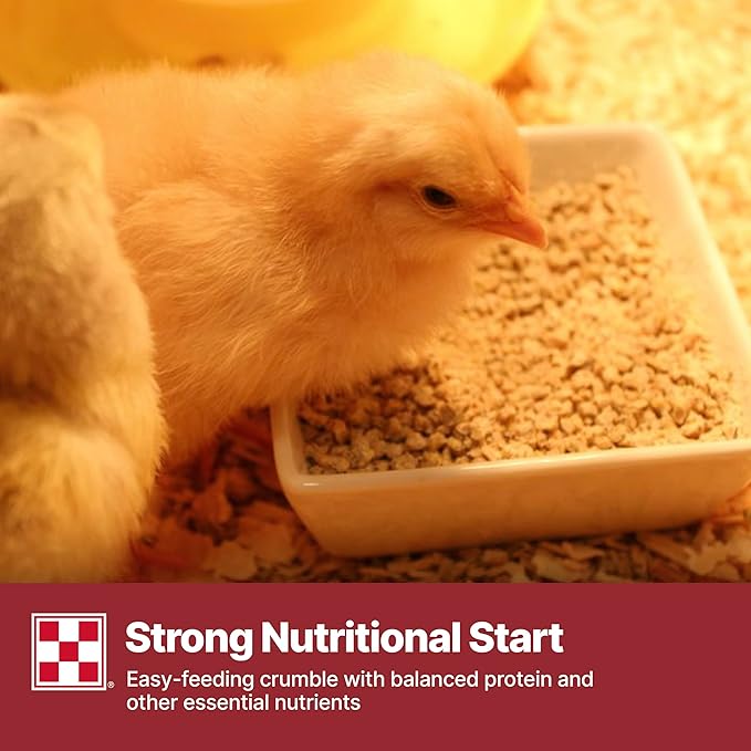 Purina Start & Grow | Nutritionally Complete Medicated Chick Feed Crumbles | 5 Pound (5 lb.) Bag
