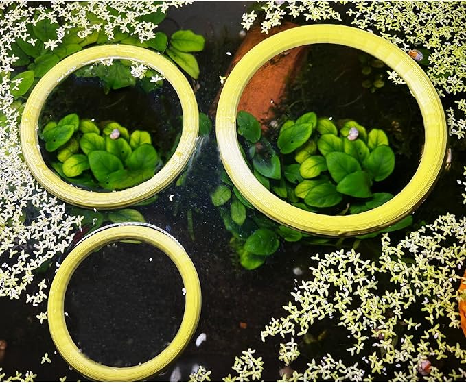 Aquarium Floating Duckweed Organizer. Set of 3 Floating Rings - 3in, 4in and 5 in. Floating Fish Feeding Ring. Aquarium Fish Tank Decor. Aquarium Starter Kit.