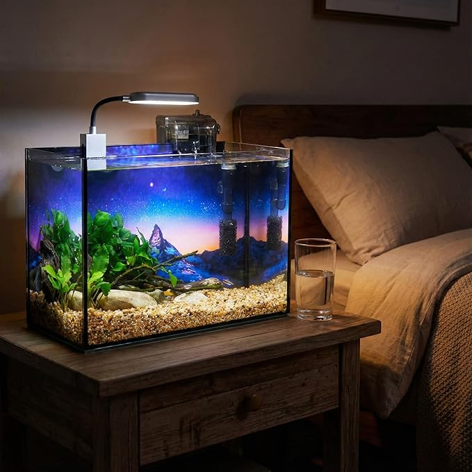 2.8 Gallon Glass Fish Tank with Filter LED Light Complete Betta Fish Tank Starter Kit for Small Aquarium Lovers, Rimless Freshwater Nano Tank with All Essentials Included