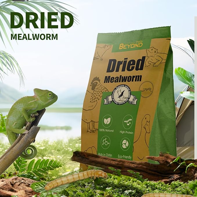BeyondFeed™ Dried Mealworms - Premium High-Protein Feed for Chickens, Ducks, Birds, Reptiles, Fish, Hamster, Turtles and More (1.23 oz/ 35g)