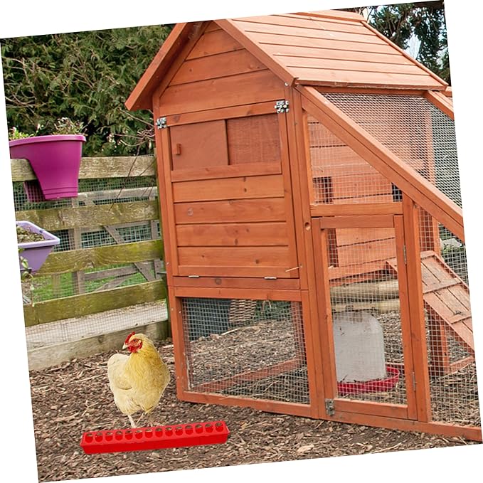 Kisangel 2pcs Outdoor Indoor Bird Supplies Sunflower Seeds Bird Food Watering Supplies