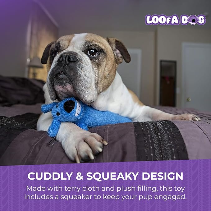 Multipet Original Loofa Dog Plush Toy - Squeaky Toy for All Dogs - Extra Soft Plush - Stuffed Animal Dog Toys for Playing - Cute Dog Pet Toy (1 Count, 12”, Random Color Surprise)