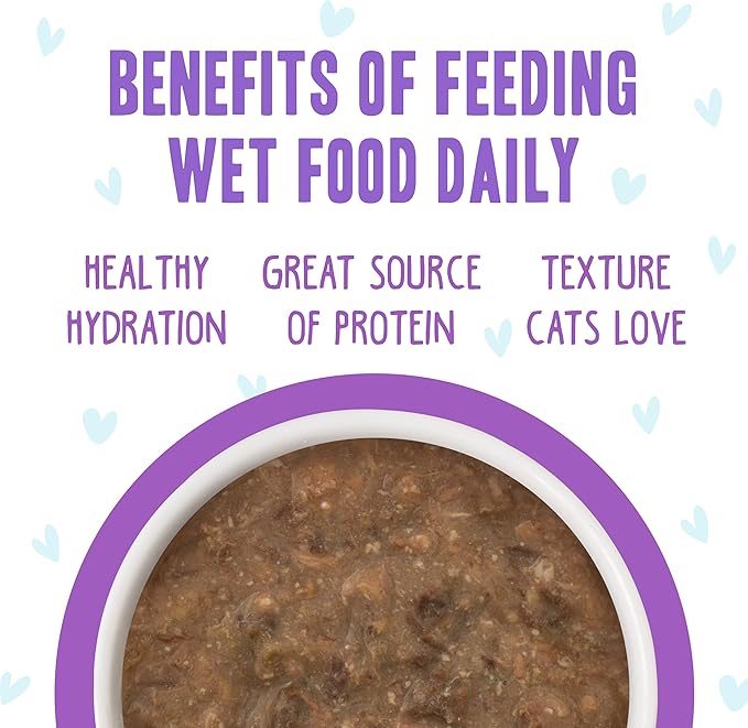 Weruva B.F.F. OMG - Best Feline Friend Oh My Gravy!, Best Day Eva! with Beef & Salmon in Gravy Cat Food, 5.5oz Can (Pack of 8)