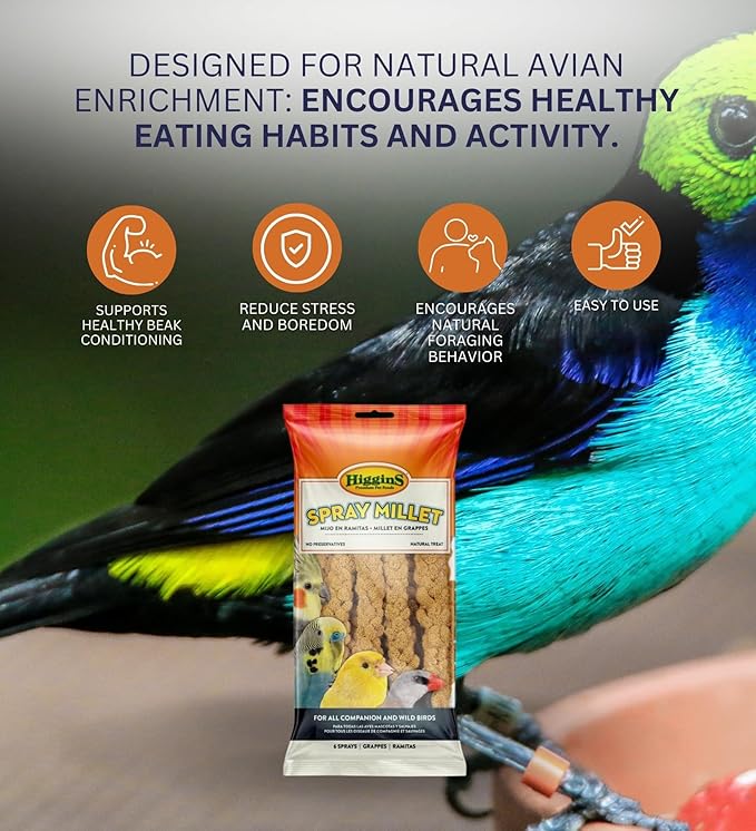 Higgins Spray Millet 6 Ct Bundle with Gourmet Natural Avian Treats –Nutrient-Rich Foraging Treat for Birds, Non-GMO & Pesticide-Free, Easy to Digest – Gift Set (4 Items)