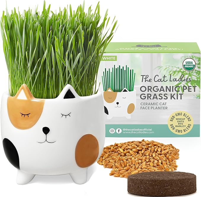 The Cat Ladies Cat Grass for Indoor Cats, Cat Grass Growing Kit with Organic Cat Grass Seed Mix, Soil and Ceramic Cat Planter, Pet Grass for Cats, Natural Hairball Remedy, Cat Gifts