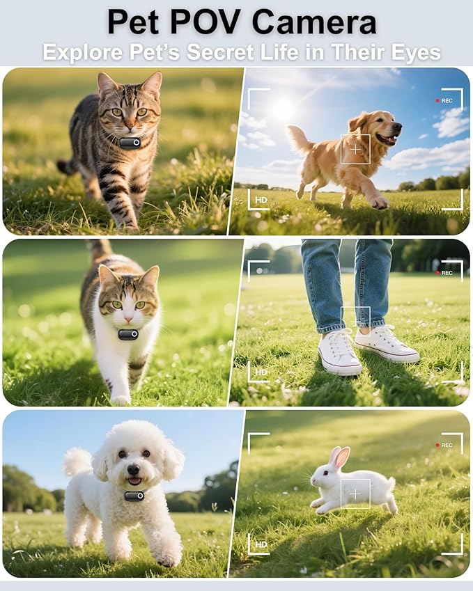 Cat Camera Collar with Phone APP, 1080P HD Video Recording Pet POV Cam for Cats & Small Dogs, XS-Size,Rechargeable Body Camera for Pets with APP Viewing