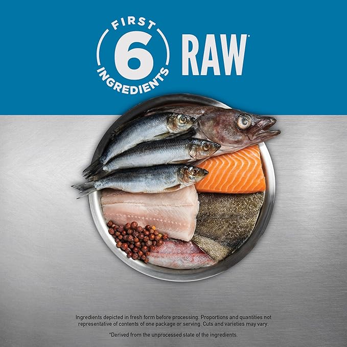 ORIJEN Grain Free High Protein Premium Dry Cat Food Six Fish Recipe 12lb Bag