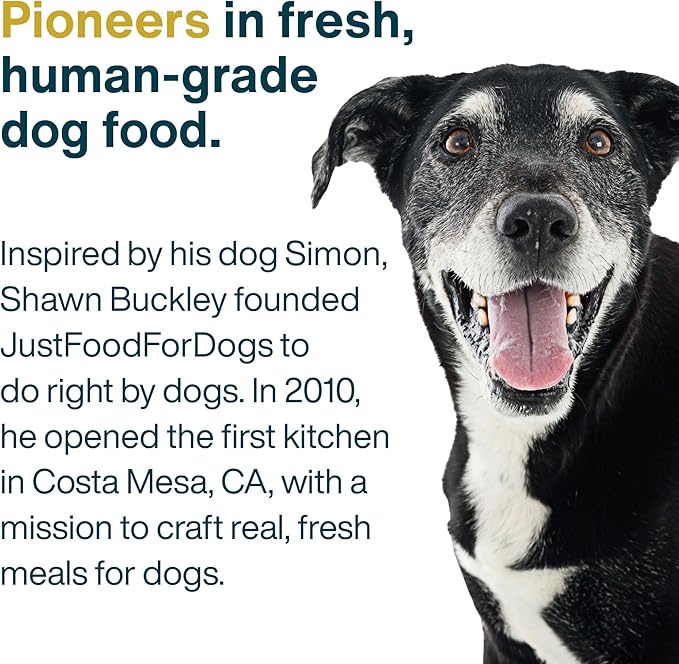 JustFoodForDogs Pantry Fresh Wet Dog Food Complete Meal or Dog Food Topper, Turkey & Whole Wheat Macaroni Human Grade Dog Food Recipe - 12.5 oz (Pack of 12)