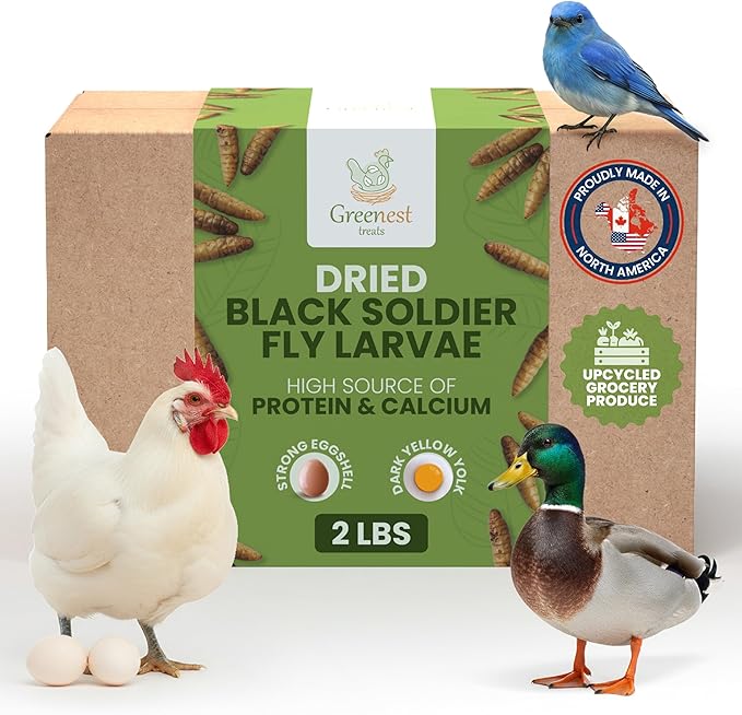 Black Soldier Fly Larvae for Chickens & Ducks – 2lb Dried Worms & Grubs – High Protein & Calcium Mealworms Alternative – Dried Black Fly Larvae – Non-GMO, Farmed in North America