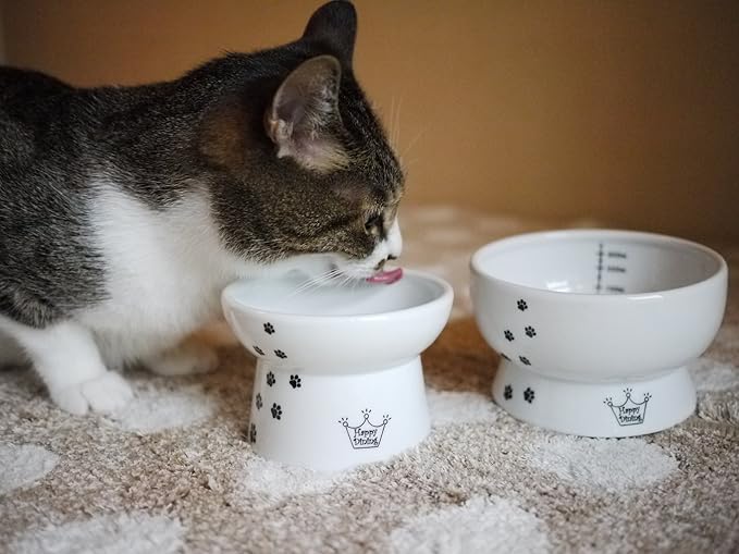 Necoichi Elevated Cat Food & Water Bowl – Ceramic Raised Cat Bowls for Whisker & Neck Fatigue, Dishwasher Microwave Safe – Anti Vomiting Ergonomic Design, Pet Bowls for Food & Water (Cats, Regular)