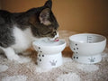 Necoichi Elevated Cat Food & Water Bowl – Ceramic Raised Cat Bowls for Whisker & Neck Fatigue, Dishwasher Microwave Safe – Anti Vomiting Ergonomic Design, Pet Bowls for Food & Water (Cats, Regular)