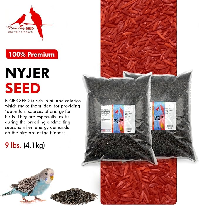 Morning Bird Nyjer Seed for Birds 18 lbs (2-Pack, 9 lbs Each) – Rich in Natural Healthy Fats – Ideal for Breeding & Molting – Premium Bird Food for Canaries and Other Seed-Eating Birds
