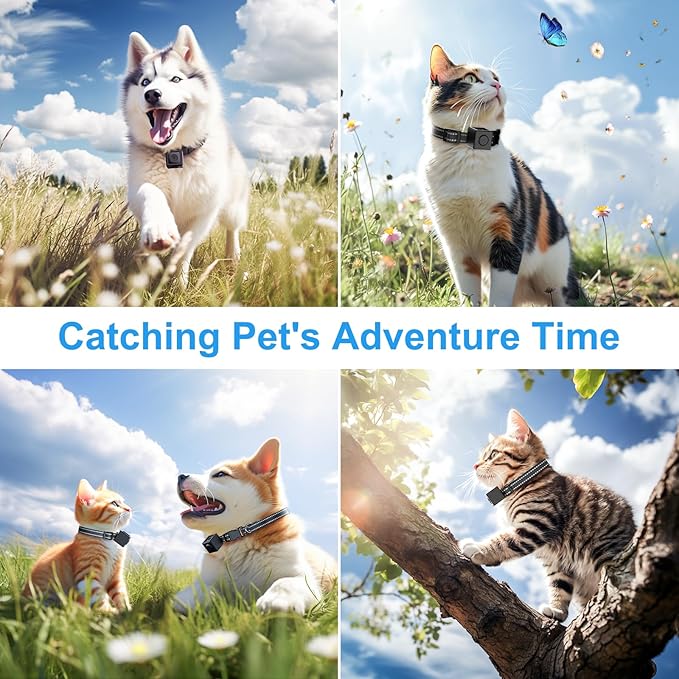 Cat/Dog Camera Collar, 1080P Video Recording Cameras for Pets,M-Size,No App,No Wi-Fi, Medium-Size Dog Collar Camera, Pet POV Cam(No Micro-SD Card Included)