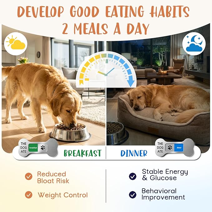 Dog Feeding Reminder Supplies with Magnet, Bone-Shaped Design Brushed Silver, Acrylic Pet Nursing Schedule for Breakfast & Dinner, Feed Slider with Paw Pattern, 2 Stickers 5.5 x 2.6inch