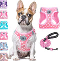 BEAUTYZOO Step in Dog Harness and Leash Set, Polka Dot Pattern Reflective Dog Harness No Pull No Choke Puppy Harness for XXS XS S Dogs Cats, Soft Padded Mesh Vest Harnesses for Girl and Boy Pets