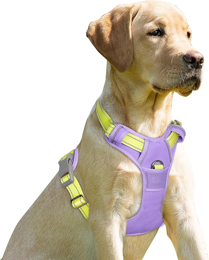 BARKBAY No Pull Dog Harness Front Clip Heavy Duty Reflective Easy Control Handle for Large Dog Walking(Violet Purple & Sunlight,M)