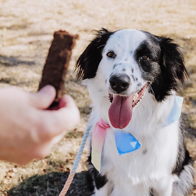 Bundle x Joy Leash & Load Beef Jerky for Dogs - 5 Oz Bag, Natural Superfood - Corn, Poultry, Soy & Grain Free Beef Dog Treats Made in USA Only