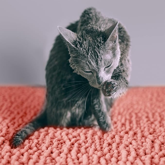 CatGuru Cat Litter Mat, Medium, Extra Large, XXL, Waterproof Litter Box Mat, Non Slip Kitty Litter Mat, Machine Washable Litter Trapping Mat, Soft Litter Tray, Cat Stuff (XL, Coral/Heavy-Duty)