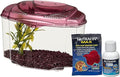 Marina Betta Pals Kit, Betta Fish Aquarium Starter Kit, Burgundy, 13405