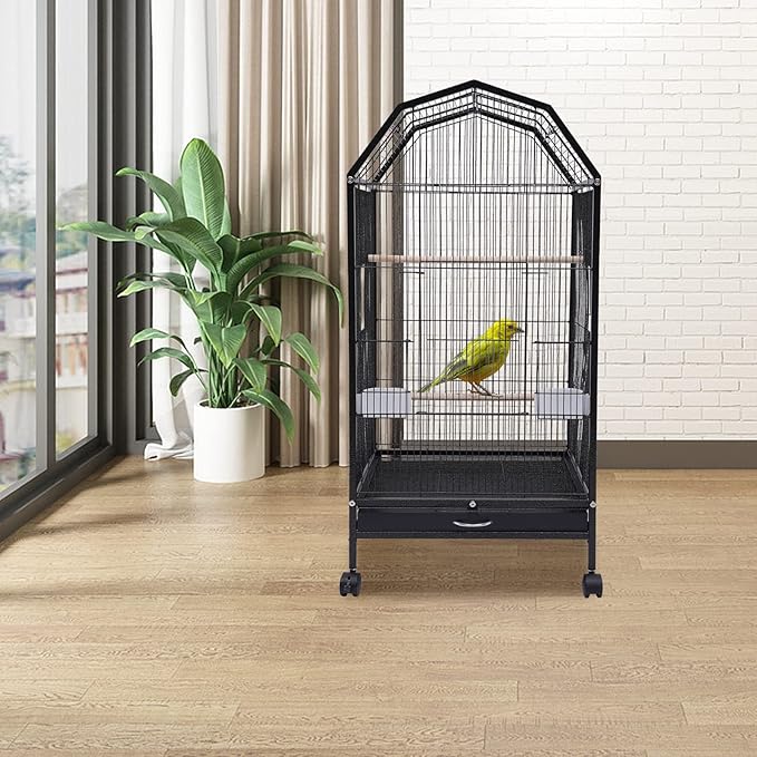 39.9 Inch Bird Cage Parakeet Cage with Rolling Stand and Play Open Top Iron Bird Flight Cages for Parrot Lovebirds Finches Canaries Parakeets Cockatiels Budgie Parrotlet Conures